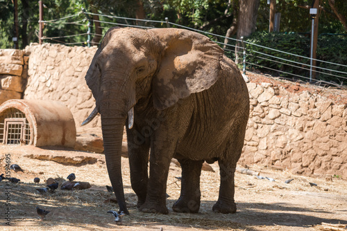 Visit to Safari Ramat Gan