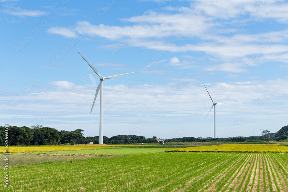 Wind turbine and field Wind turbine and field