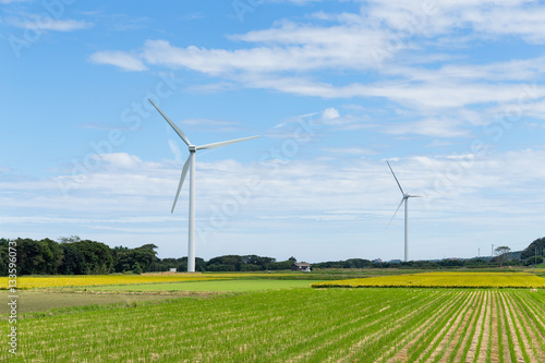 Wind turbine and field