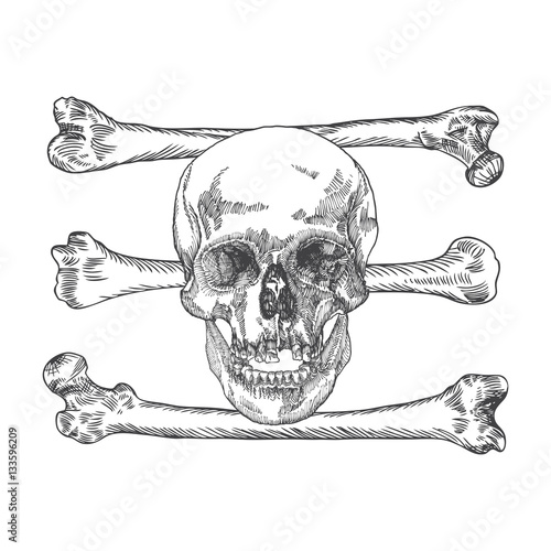 Skull with crossbones. Danger for life and occult witch craft magic symbol. Handmade detailed drawing. Vector illustration.
