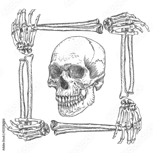 Skull in the frame made of hands bones. Occult witch craft magic portrait of the dead human head. Handmade detailed drawing. T-shirt print vector illustration.