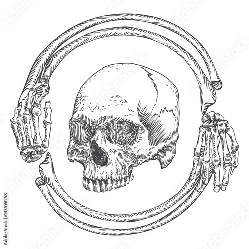 Skull in the frame made of hands bones. Occult witch craft magic portrait of the dead human head. Handmade detailed drawing. T-shirt print vector illustration.