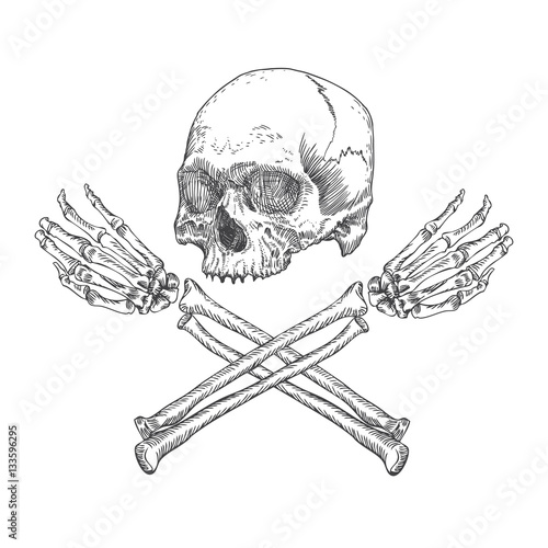 Skull and crossbones made of hands with gestures. Handmade detailed drawing. Vector illustration.