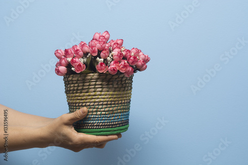 Hands holding flower pot for valentine's day.