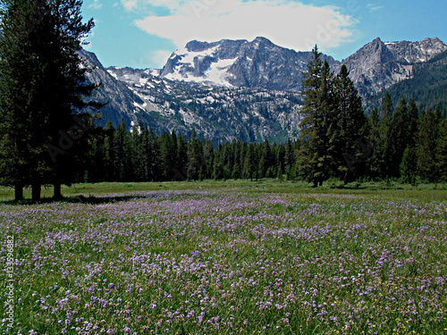 Alpine Meadow and Sawtooth Mountains Near Stanley, Idaho 9 © Gerald