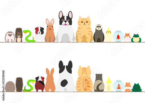 pet animals border set, front view and rear view