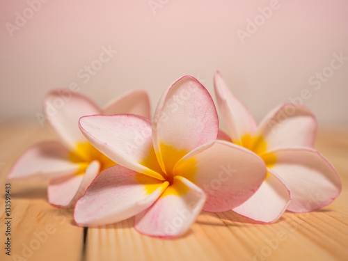 Spa flowers pink filter on wood background
