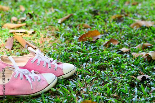Pink sneakers on white
