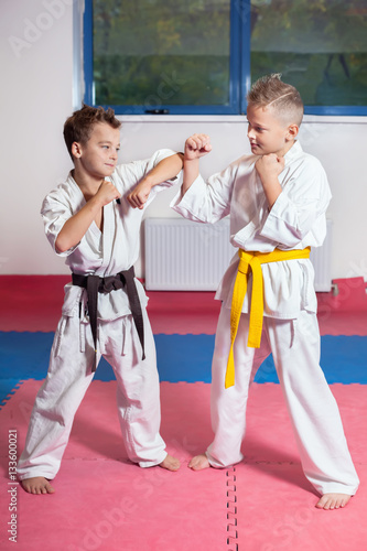 ?hildren demonstrate martial arts working together