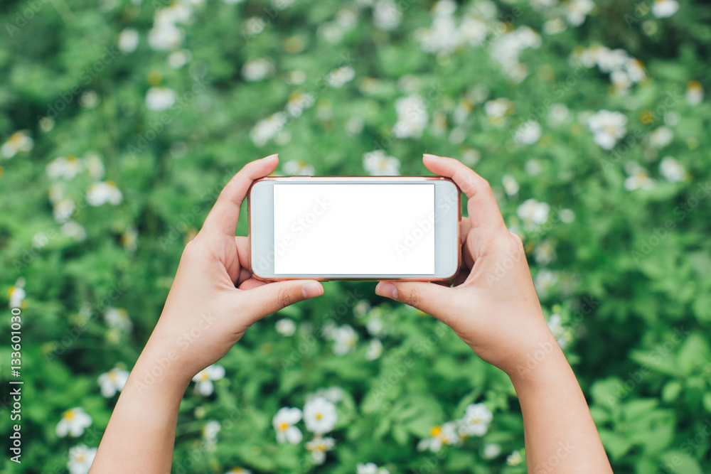 hand holding white smartphone with white-screen on Flowers and N