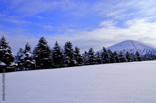 Sapporo winter scenery