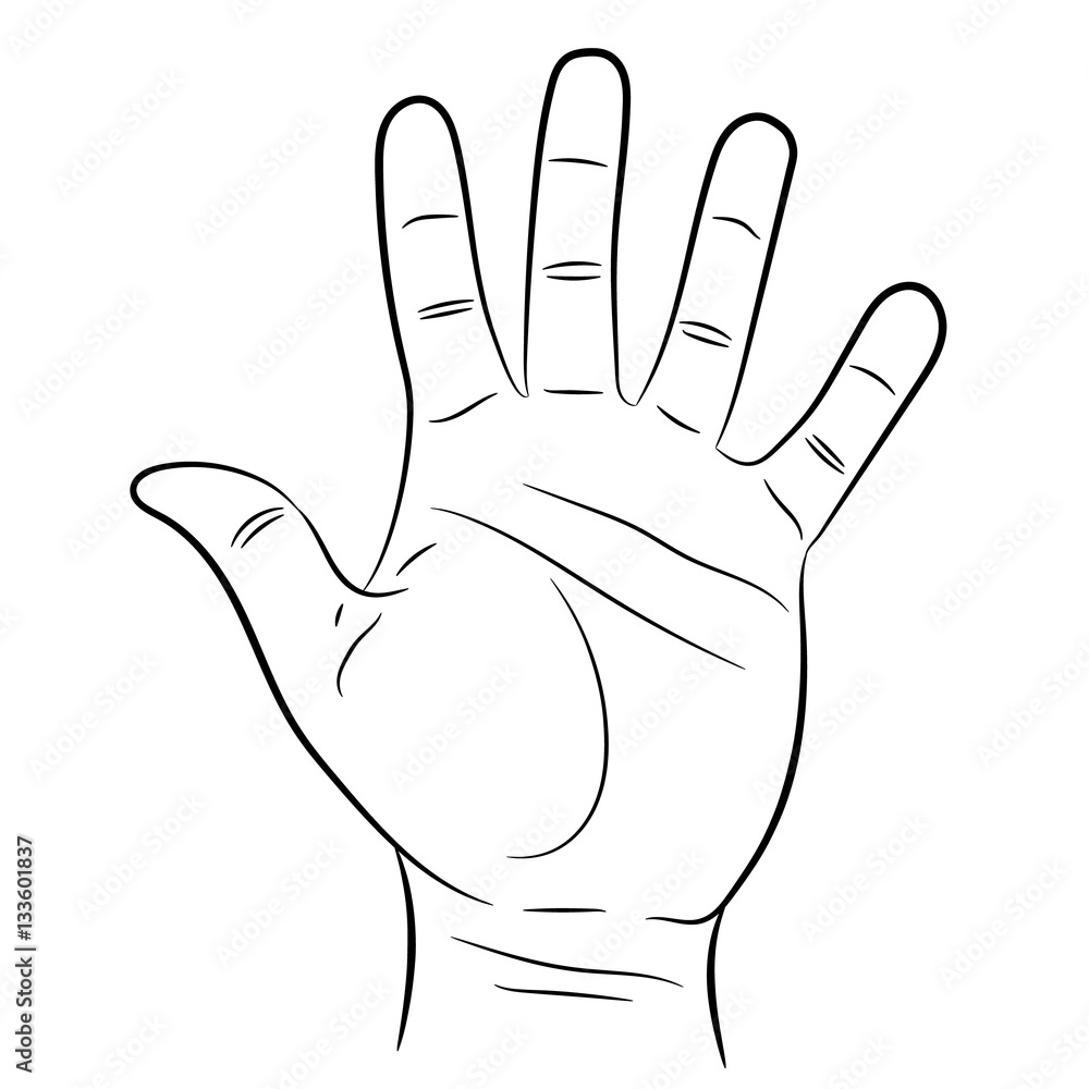 hand showing five fingers on white background of vector illustrations hand showing five fingers on white background of vector illustrations