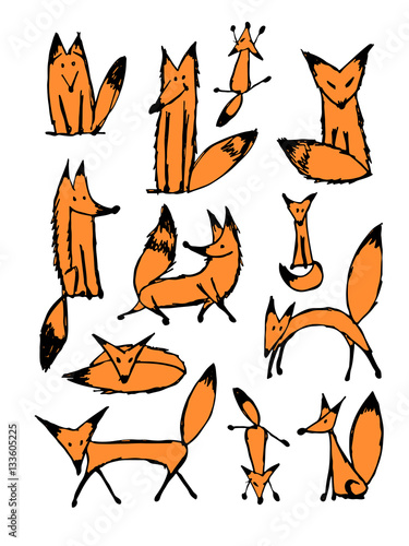 Cute fox sketch, collection for your design