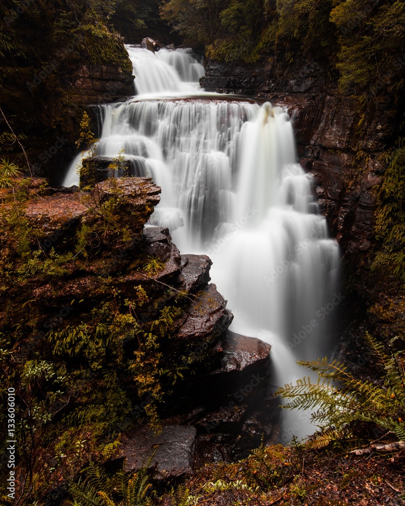 Fototapeta premium D'Alton Falls, Cradle Mountain, Overland Track, Tasmania, Australia