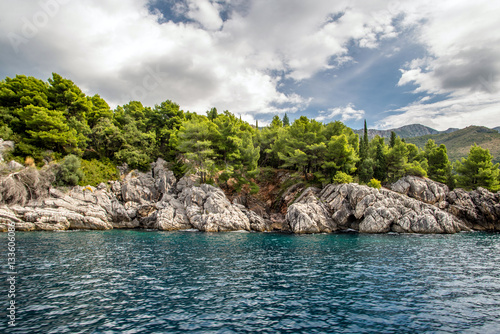 pine trees and rocks on the shore of the Adriatic Sea 