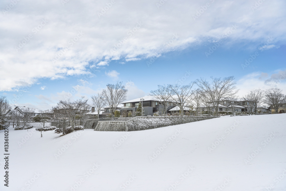 Fototapeta premium 雪の中の住宅街