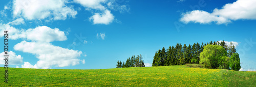 Green field with yellow dandelions and blue sky. Panoramic view to grass and flowers on the hill on sunny spring day