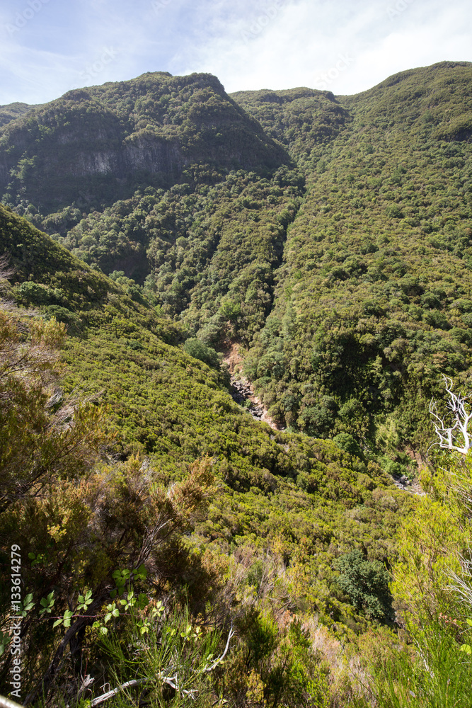 Fototapeta premium Picturesque aerial panorama of mountains and rainforest hills on Madeira island, Portugal.