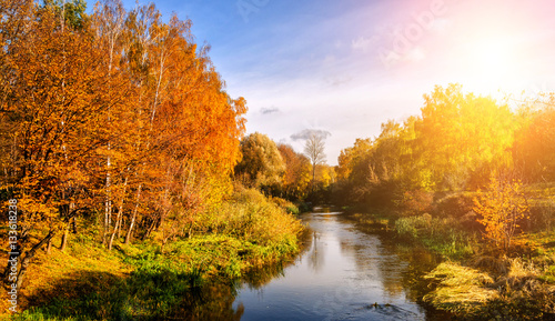 Wonderful landscape  autumn trees in forest  at the river. colorful foliage on the perfect sky on the background  glowing in sunlight.