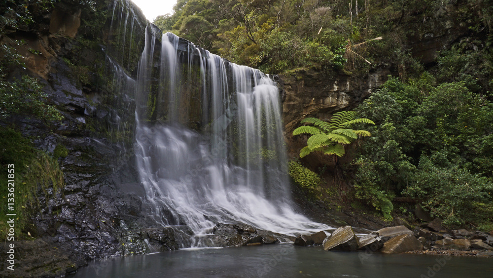 Fototapeta premium Mokoroa Falls, just outside of Auckland, New Zealand.