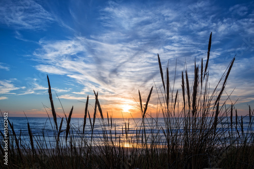 Sunset on atlantic ocean, beach grass silhouette in Lacanau France