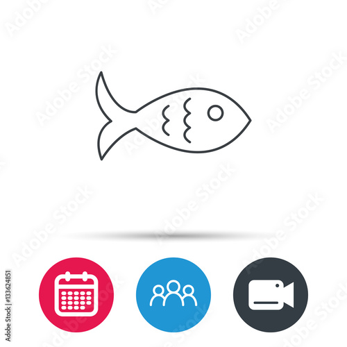 Fish icon. Seafood sign. Vegetarian food symbol. Group of people  video cam and calendar icons. Vector