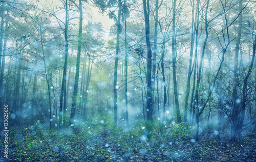 winter forest snowing 