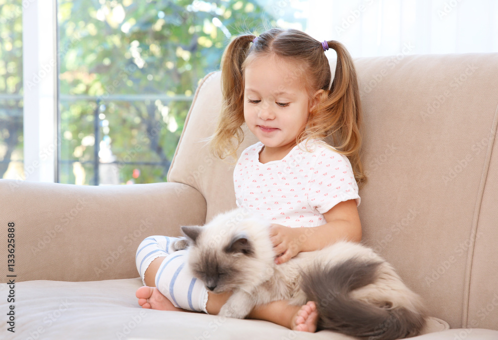 Cute little girl sitting on sofa with fluffy cat Cute little girl sitting on sofa with fluffy cat