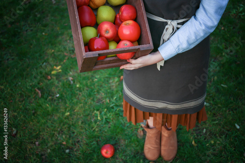 Closeup of woman holding wooden box with juicy apples, outdoors © Africa Studio