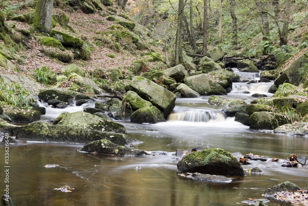 Burbage Brook flows down the forested rocky river valley of Padley Gorge, Longshaw Estate, Peak District, Derbyshire, UK Burbage Brook flows down the forested rocky river valley of Padley Gorge, Longshaw Estate, Peak District, Derbyshire, UK
