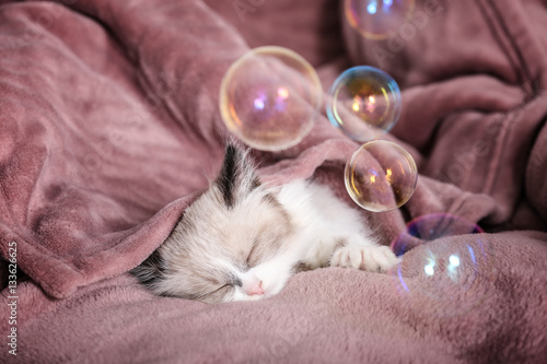 Fototapeta Naklejka Na Ścianę i Meble -  Cute little kitten sleeping on color plaid at home