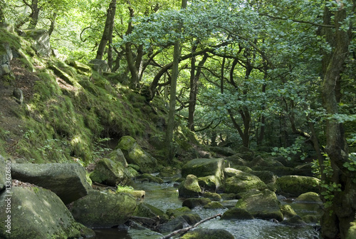 Burbage Brook flows through the autumn woodland and rocky river valley of Padley Gorge  Longshaw Estate  Peak District  Derbyshire  UK