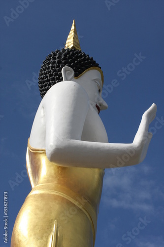 Photography Standing Buddha