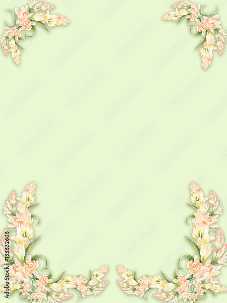 Tuberose - branches, medicinal, perfumery and cosmetic plants. Decorative frame. Wallpaper. Use printed materials, signs, posters, postcards, packaging. Watercolor.