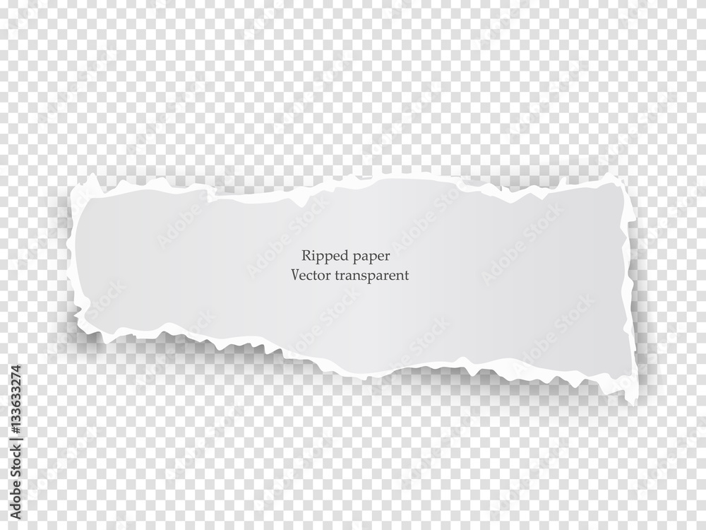 White vector elongate paper tear with soft shadow isolated on transparent background. White vector elongate paper tear with soft shadow isolated on transparent background.