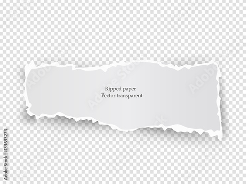 White vector elongate paper tear with soft shadow isolated on transparent background.