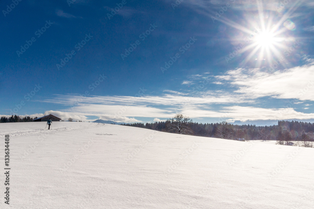 Ein Langläufer läuft mit seinen Skiern über die verschneiten Felder