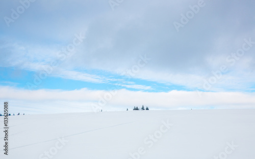 Trees on the Horizon in a Snow Covered Landscape