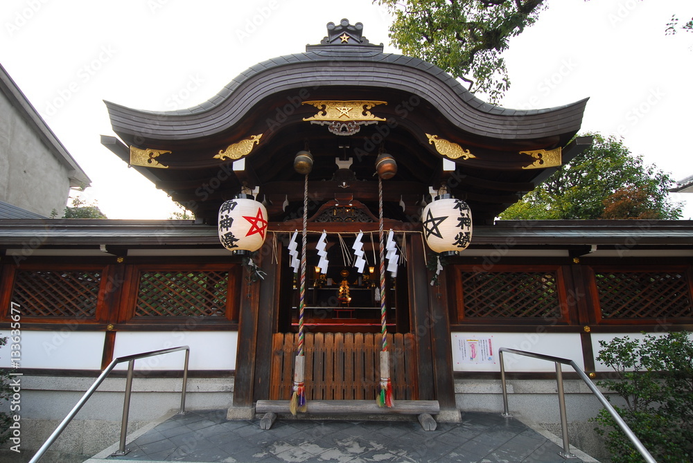 Fototapeta premium house