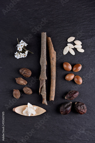 Composition of shea butter and nuts, argan fruits and seed