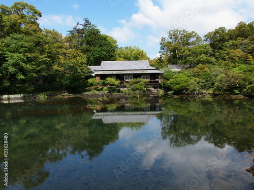 春の香り漂う一輪