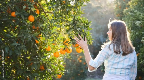 Young woman shaking orange fruit branches photo