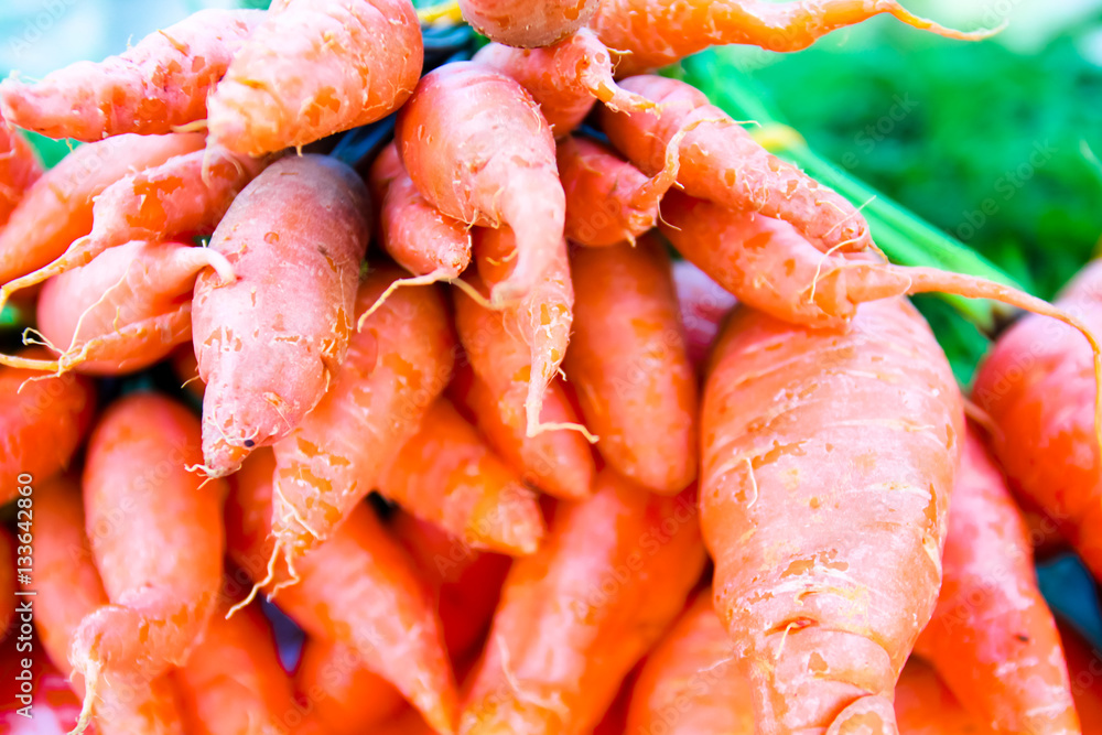 Organic vegetables.Fresh carrots in the market.Freshly harvested Organic vegetables.Fresh carrots in the market.Freshly harvested