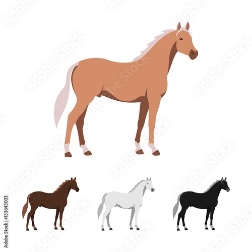 Vector Illustration of Horse Set Color
