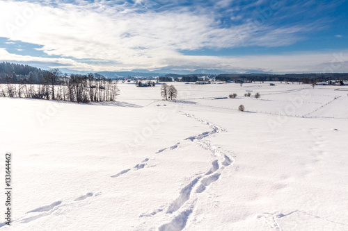 Fußspuren im Tiefschnee führen über die verschneiten Felder © zauberblicke
