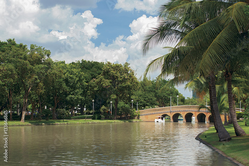 Bridge across the pond in the park Chatuchak in Bangkok, Thailand