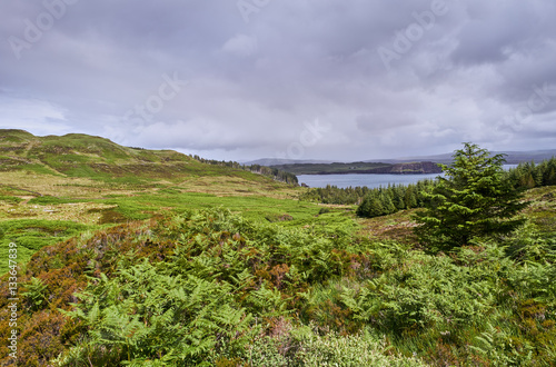 Deforestation around Brandarsaig and Loch Bracadale near Dunvegan on the Isle of Skye, Scotland, UK.      