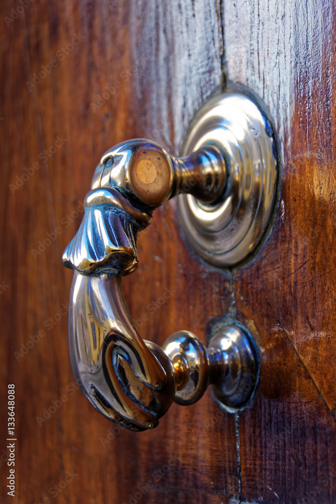 Poignée porte entrée Poignée porte entrée