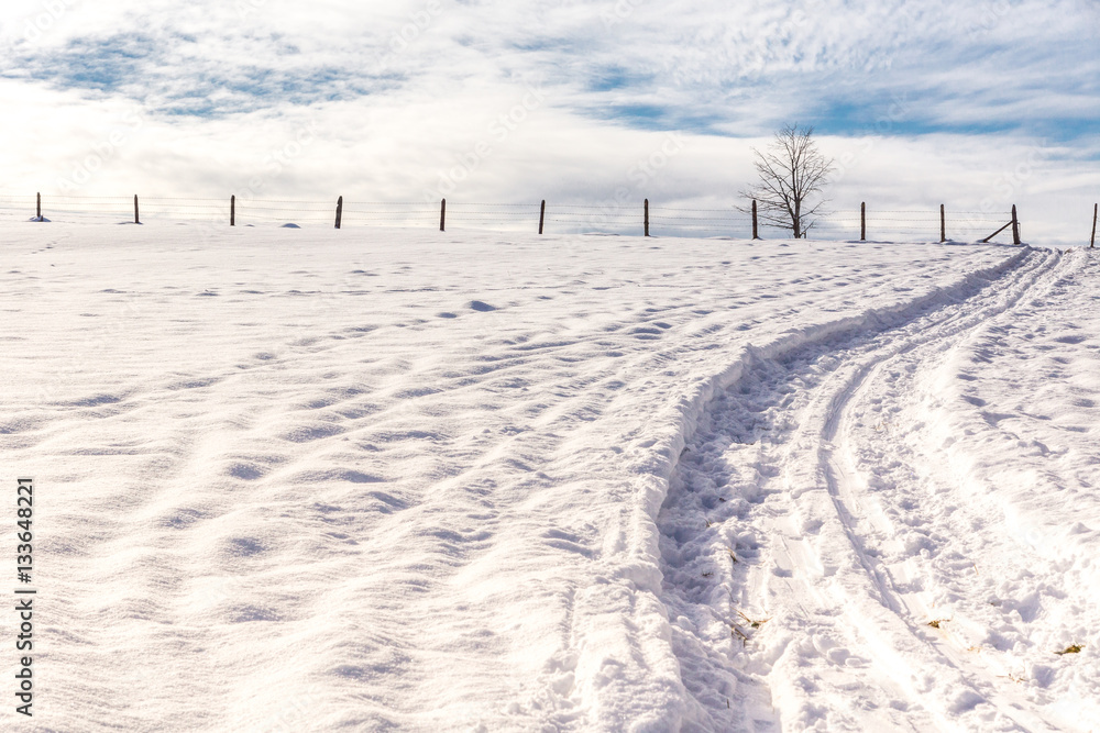 Eine Langlaufloipe verläuft über die verschneiten Felde