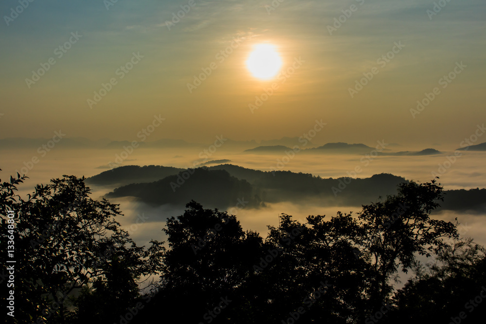 Fototapeta premium the morning in the mist of winter in Phu bo bit ,Loei Thailand
